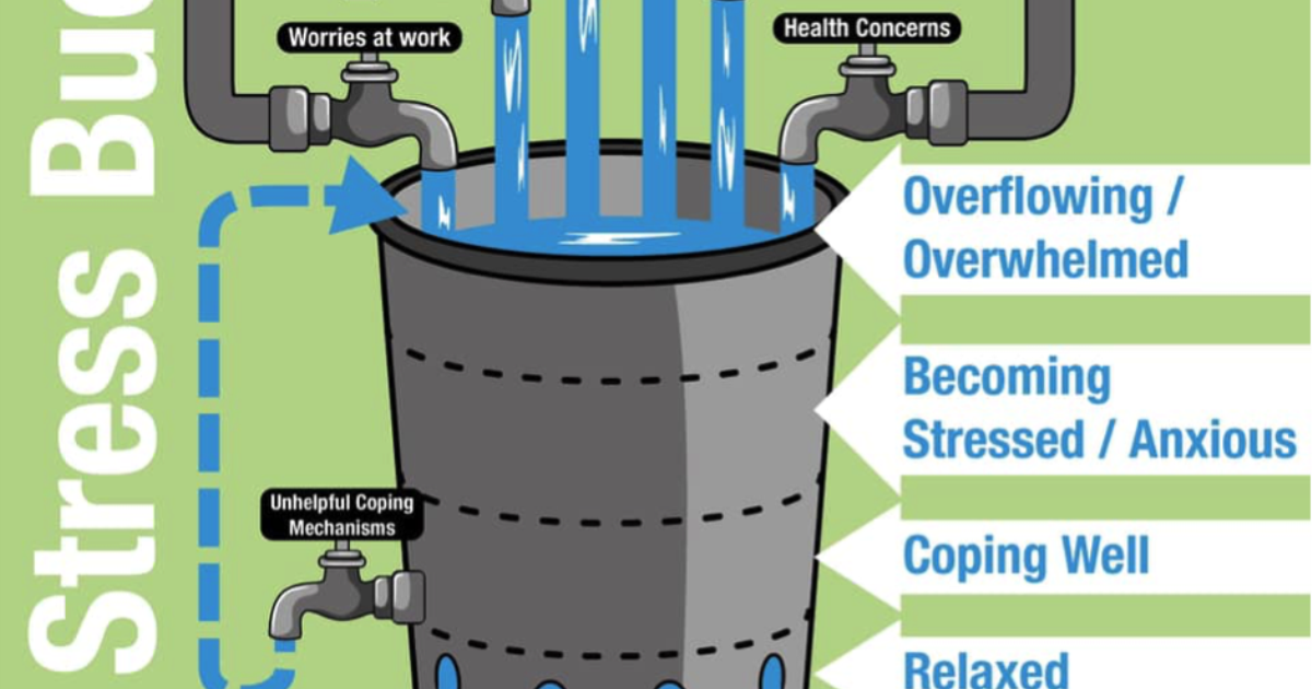 Take the Stress Bucket Challenge News Kingston Grammar School
